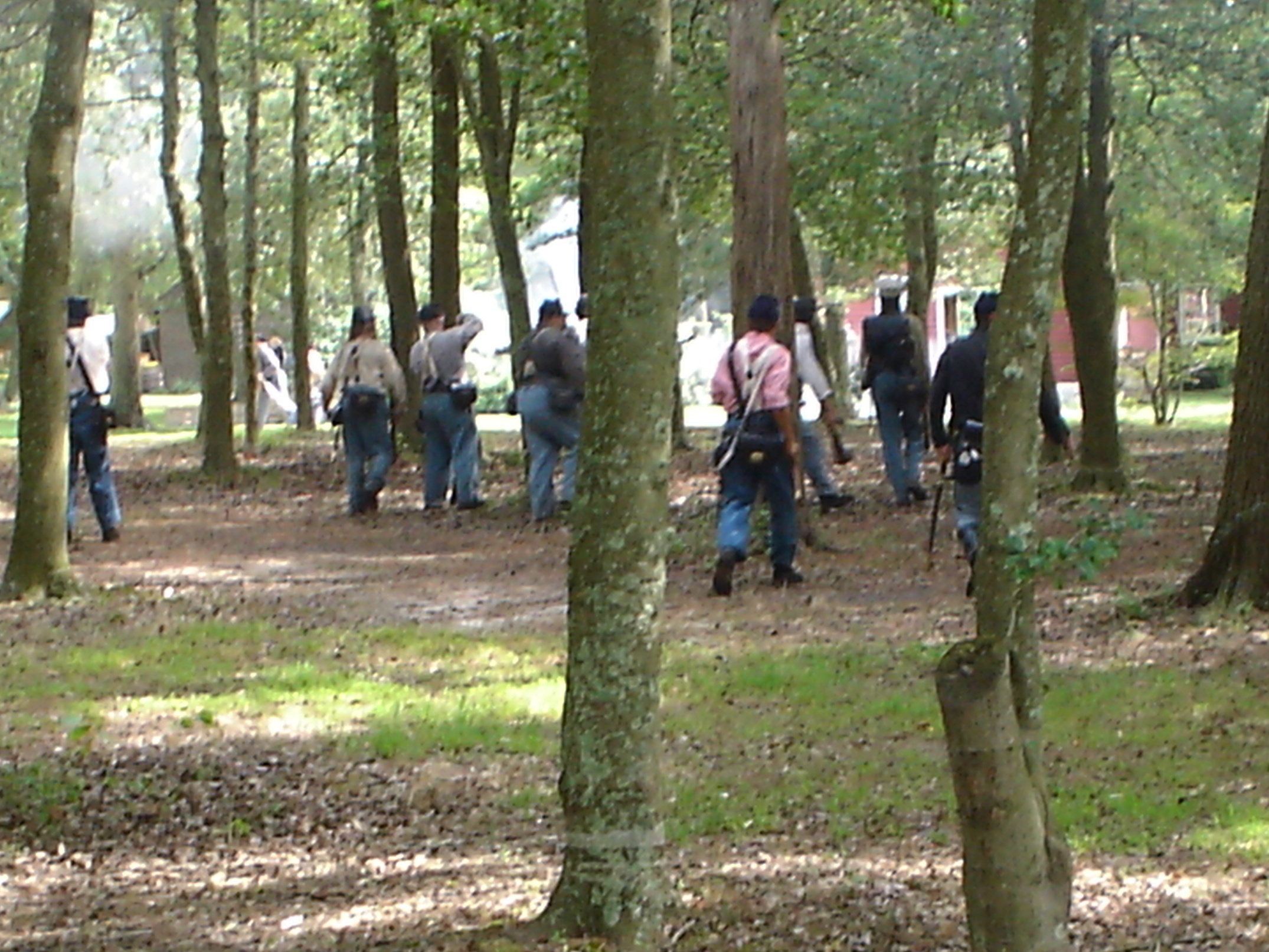 seeking protection behind each tree