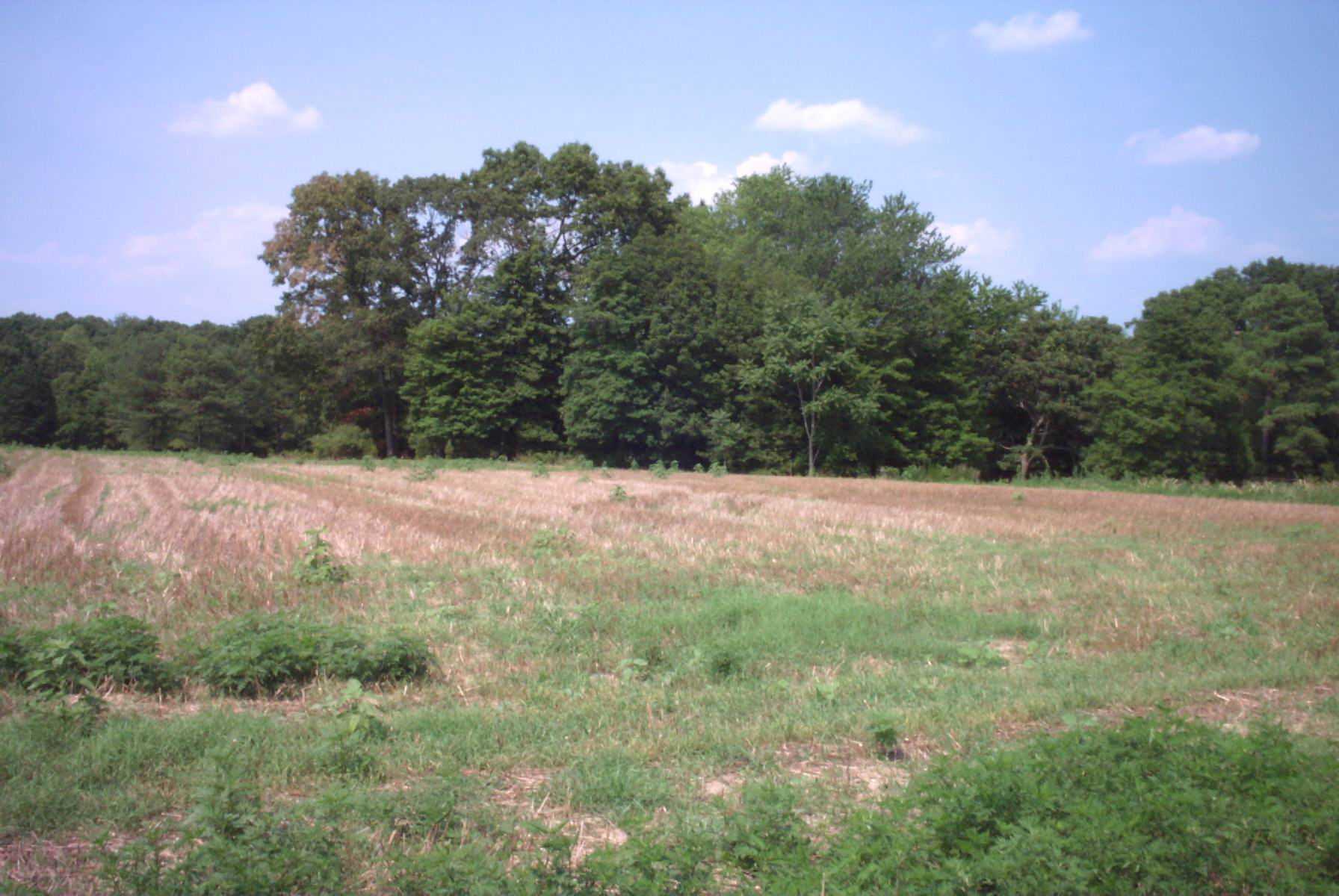 Here the 69th dug in for 5 days in the hot sun under enemy fire.