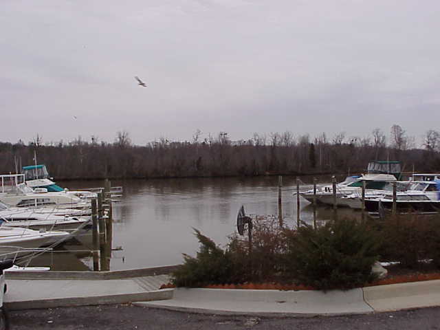 Hancock's Corp arrived June 16, 1864