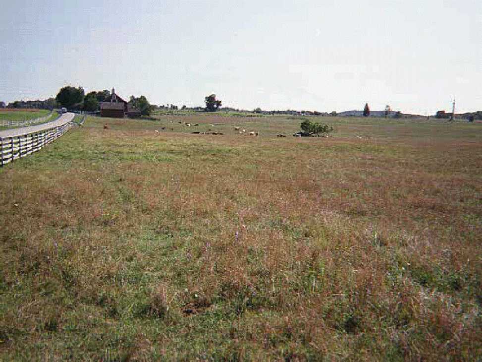 After crossing the road, Kemper turned left and advanced through the Codori Fields