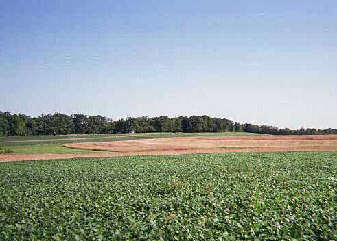 Across these fields, Pettigrew's Brigades advanced at  2:30PM