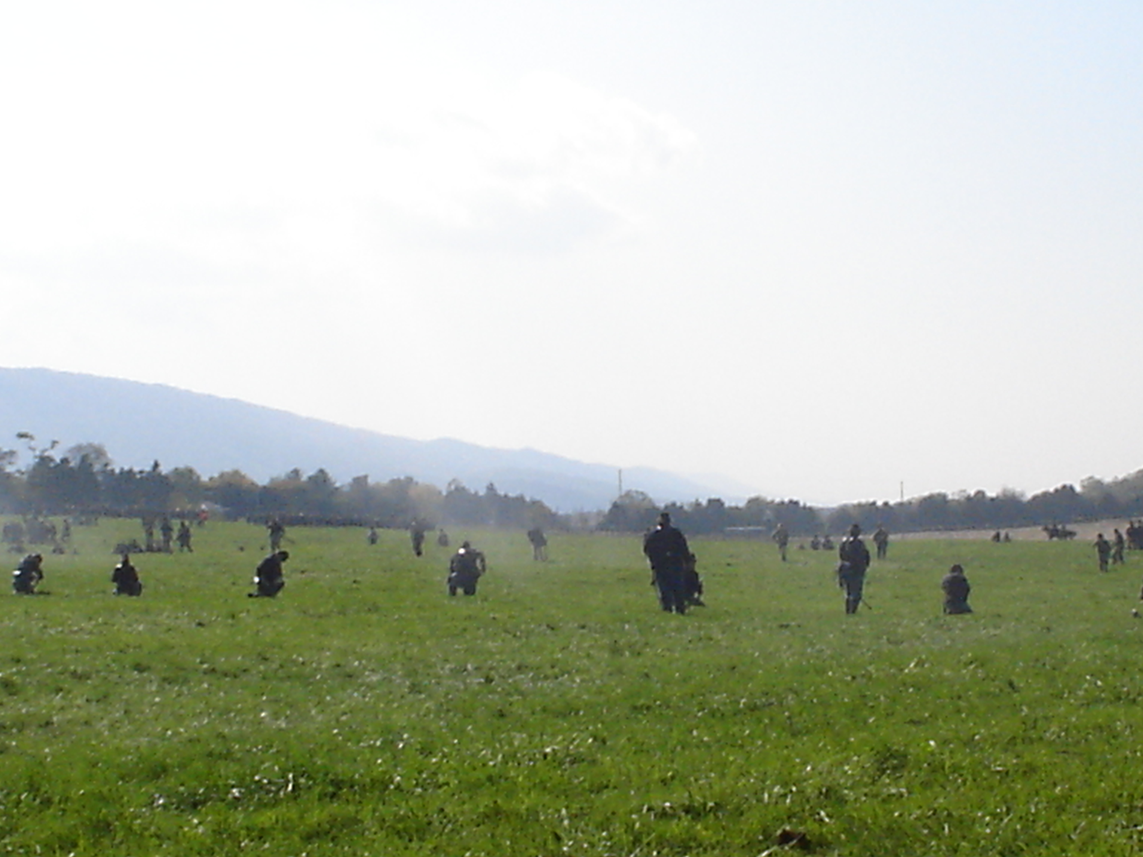 The 69th was in battleline behind a row of trees