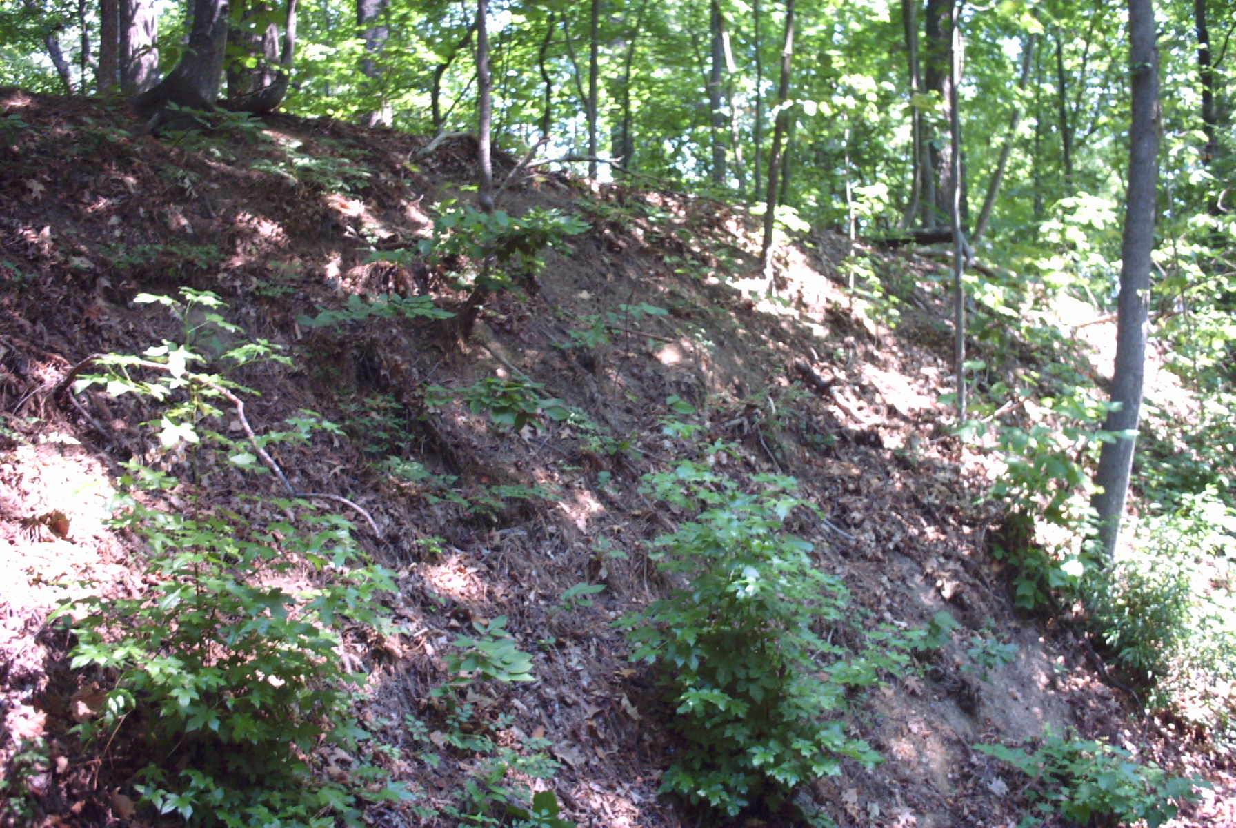 The 69th Pa attacked these positions on May 30, 1864